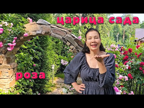Видео: Ошеломляюще прекрасный сад, в котором царица сада - роза.