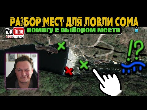 Видео: ищем МЕСТА ДЛЯ ЛОВЛИ СОМА | 🔴 СТРИМ | Виталий Дальке ищет сома