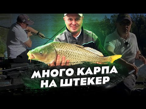 Видео: Огромный УЛОВ за 3 часа! Ловим КАРПА на ПОПЛАВОК