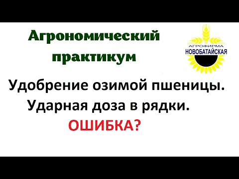 Видео: Удобрение озимой пшеницы. Ударная доза в рядки. Ошибка?