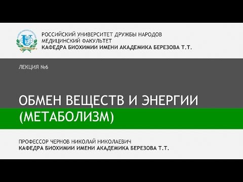Видео: Лекция 6 - Метаболизм