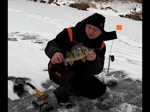 Видео: Килограммовые окуни не только в Якутии. Рыбалка на реке Ляля на аэролодке Хариус 440