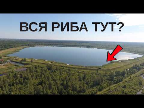 Видео: Груба Риба за 500 км - Риболовні пригоди на Волині