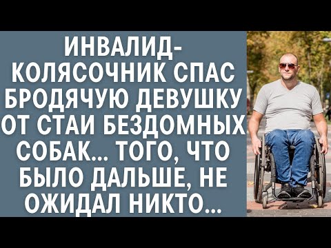 Видео: Инвалид-колясочник спас бродячую девушку от бездомных собак… То, что было дальше, не ожидал никто…
