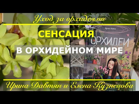 Видео: ДВА ОРХОБЛОРОГЕРА ВМЕСТЕ в прямом эфире: Ирина Давтян и Елена Кузнецова