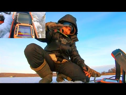 Видео: Зимняя рыбалка с эхолотом CALYPSO FF-02-COMFORT PLUS.