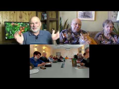 Видео: Секреты выращивания абрикосов на Урале от Валерия и Надежды Черненко