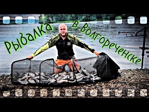 Видео: Фидерная рыбалка в Волгореченске. Рыба стоит стеной, поклевки на каждом забросе.