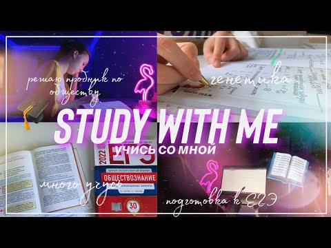 Видео: STUDY WITH ME/готовлюсь к ЕГЭ/много учёбы/ мотивация на учёбу