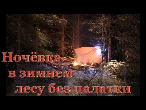 Видео: ПВД. Ночевка в зимнем лесу без палатки. Костер нодья.