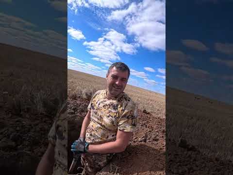 Видео: Охота на гуся вечерка 3 октября