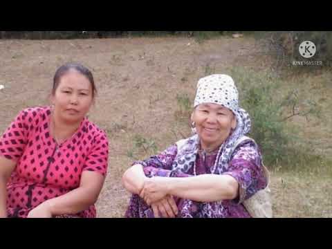 Видео: 4 сентября 2021 г.