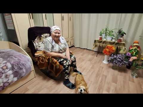 Видео: ОДИН ДЕНЬ ИЗ НАШЕЙ ЖИЗНИ.