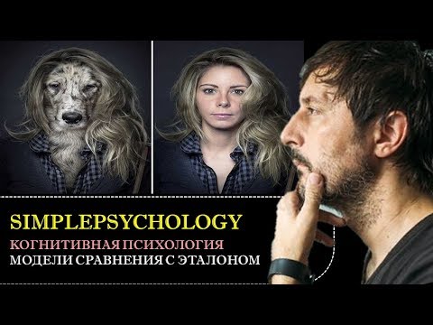 Видео: Когнитивная психология восприятия #26. Модели сравнения с эталоном и их проблемы.