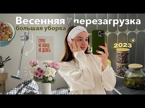 Видео: Большая перезагрузка весной и любовь к себе | живу одна, уборка, моя квартира