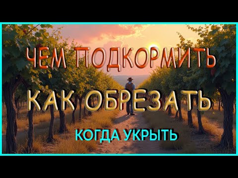 Видео: Как ОБРЕЗАТЬ виноград и подготовить его к зиме.
