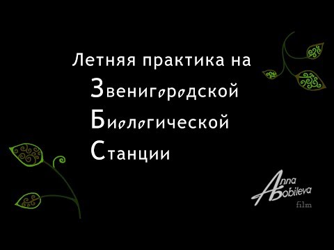 Видео: Летняя практика на Звенигородской биологической станции МГУ 2018