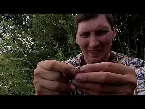 Видео: Тенкара-рыбалка для души