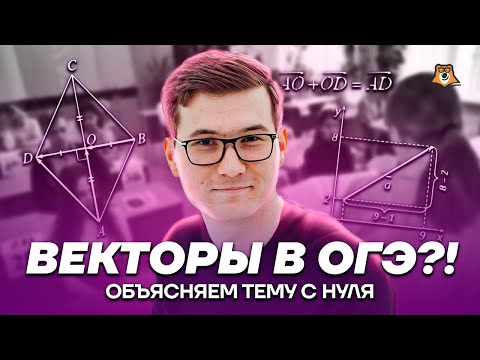 Видео: ВЕКТОРЫ 9 класс С НУЛЯ | Математика ОГЭ 2023 | Умскул