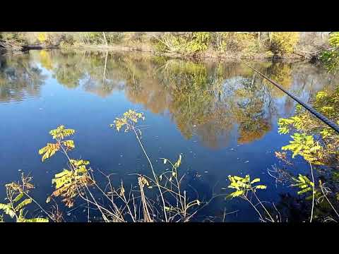 Видео: 2.11.25г.на Тунджата пак ,след с.Крушаре по пътя за с .Чокоба много хубав вир.Скачат риби 