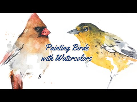 Видео: Рисуйте вместе со мной — быстрые акварельные рисунки птиц — кардинал, певунья, синичка и зяблик