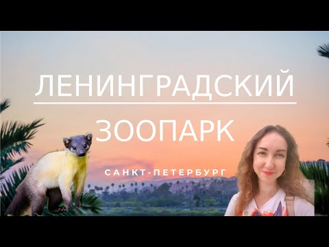 Видео: Ленинградский зоопарк - прогулка по Питерскому must-see месту🐻‍❄️ Кто в вольерах? 👀 Экзотариум🐠