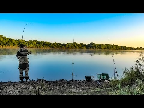 Видео: ЛОВЛЯ НА САЛО И ПЕНОПЛАСТ. РЫБАЛКА НА ОКЕ. СУПЕР МОНТАЖ ДЛЯ ДОНОК.