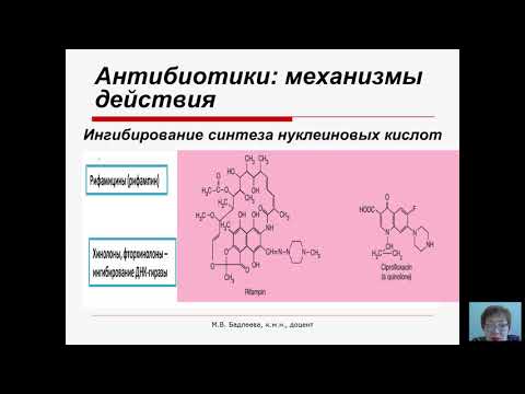 Видео: Общая микробиология (Бадлеева М.В.) - 8 лекция