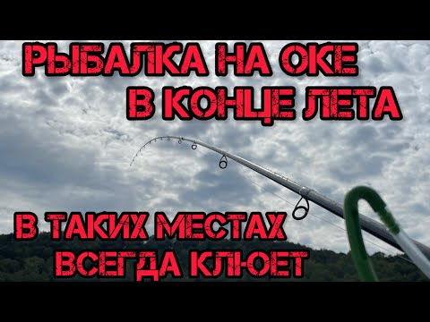 Видео: РЫБАЛКА на ОКЕ в конце ЛЕТА В ТАКИХ МЕСТАХ ВСЕГДА КЛЮЁТ