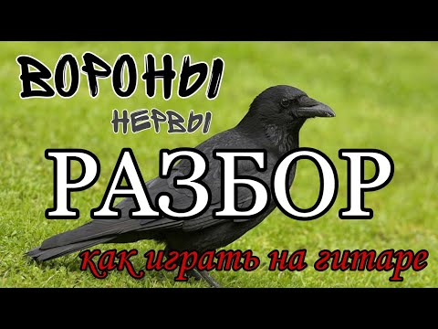 Видео: РАЗБОР | НЕРВЫ - ВОРОНЫ | КАК ИГРАТЬ НА ГИТАРЕ ДЛЯ НОВИЧКОВ