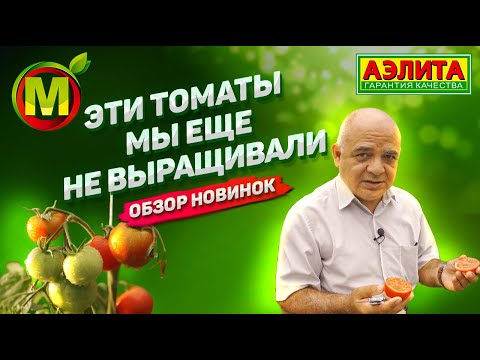 Видео: Рассказываем о Новых Сортах Томатов