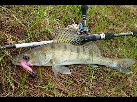 Видео: Рыбалка на реке Десна. Весна 2016