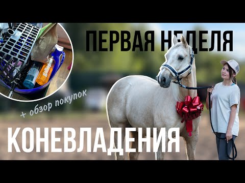 Видео: Первые дни после ПОКУПКИ лошади | Закупка на 20 ТЫСЯЧ! | Vlog