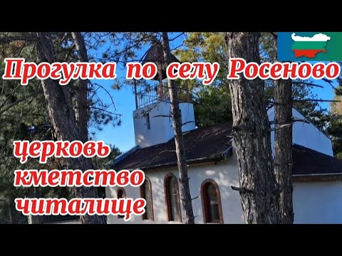 Видео: Болгария. Где находится мой дом. Прогулка по селу Росеново.🏠🌲🌳