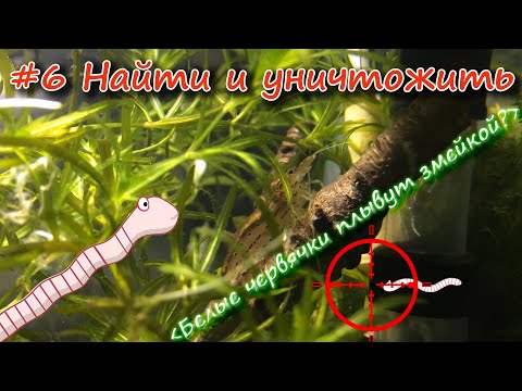 Видео: #6 Борьба с незваными гостями,продолжение... /Fighting uninvited guests, continued ...