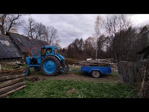 Видео: ТРАКТОР Т40 ПОМОГАЕТ ПО ХОЗЯЙСТВУ/ВОЗИМ ДРОВА ПО УЧАСТКУ