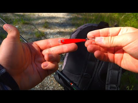 Видео: НОРВЕГИЯ ||РЫБАЛКА НА ЛЕСНОМ ОЗЕРЕ || 3 КМ ДО ОЗЕРА || РЫБАЛКА В ГЛУШИ ||