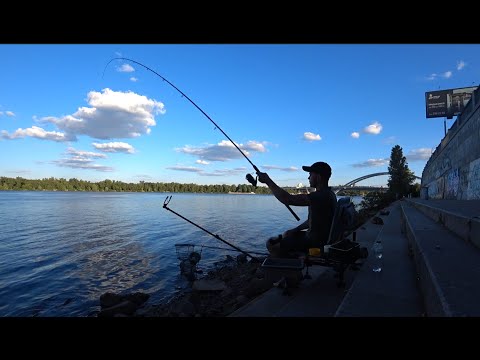 Видео: Рыбалка Фидер Киев, Новая Набережная. Ловля Фидером на Днепре.