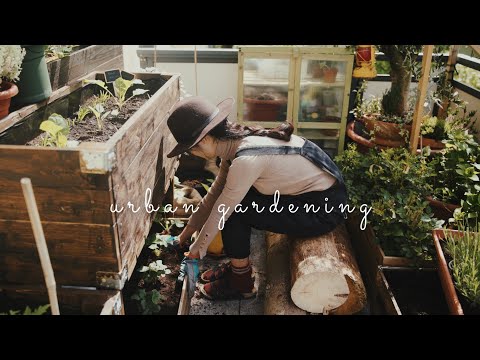 Видео: #33 Компост Бокаши: лучшее органическое удобрение для вашего балконного сада | Городское озеленение