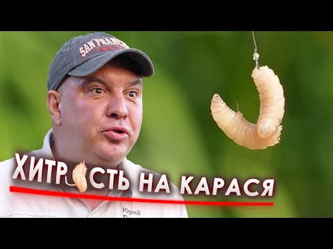 Видео: НАСАДКА на КАРАСЯ в Спеку!