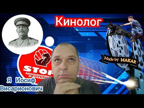 Видео: Униженные и оскорблённые мошенники расползлись по норам. Дрессировка мошни от автора Андрей Кинолог.