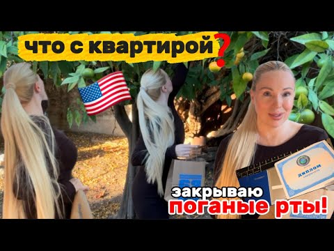 Видео: 🇺🇸США, ЧТО РЕШИЛИ С НОВОЙ КВАРТИРОЙ❓ЗАКРЫВАЮ ПОГАНЫЕ РТЫ🤐МОЙ ДИПЛОМ И ТУДОВАЯ, СОБИРАЮ УРОЖАЙ🍊