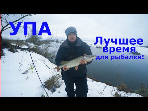 Видео: УПА... лучшее время для рыбалки