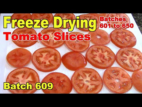 Видео: Партия 609 Сублимированные томатные ломтики