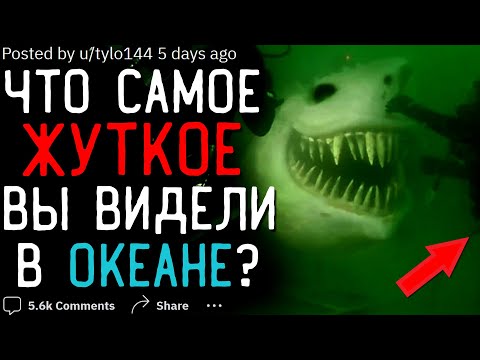 Видео: Что Самое ЖУТКОЕ Вы видели в ОКЕАНЕ/МОРЕ? #1