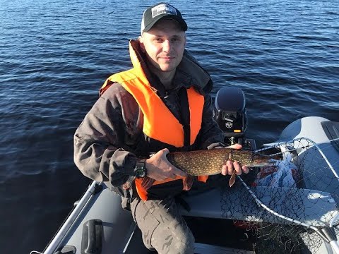 Видео: Викинг 360 про Tohatsu 9,8 Garmin Striker Plus