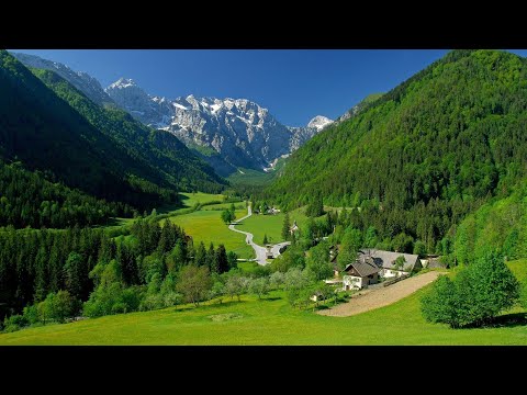 Видео: интересные стихи часть 31