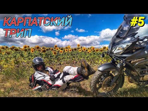 Видео: #5 Мотопутешествие по Карпатам/Драгобрат на Suzuki V-strom