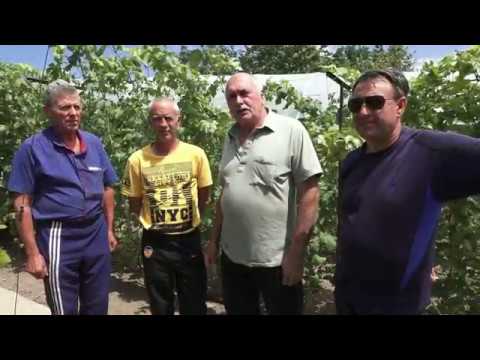 Видео: В гостях у Алексея Шульги 2019