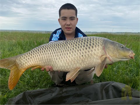 Видео: \Ловим огромных диких сазанов\CarpFishing\Рыбалка в непогоду на оз.Малый Тарангул\